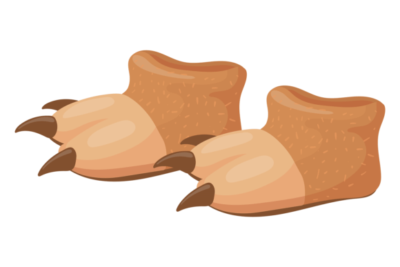 Bear Foot Slippers: A Designer's Review