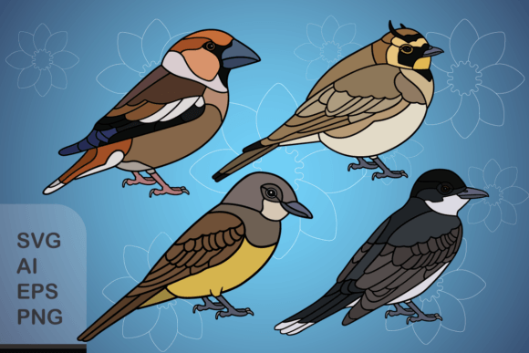 Set of Funny Birds: A Designer's Practical Review